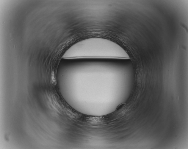 X0000101670089200807101059