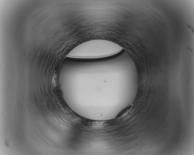 X0000101670090200807101059