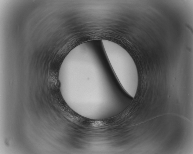 X0000101670091200807101059