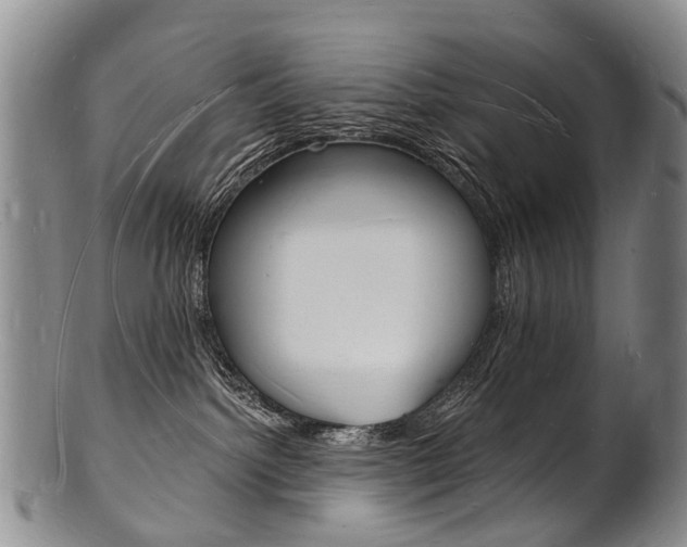 X0000101670092200807101059