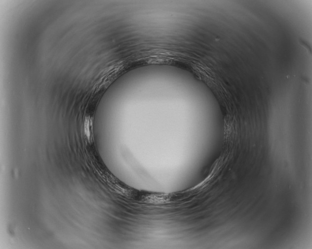 X0000101670094200807101059