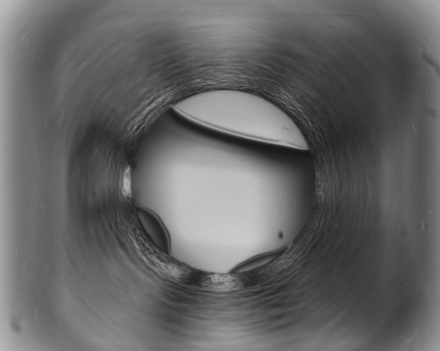 X0000101670095200807101059