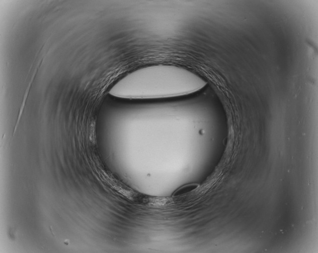 X0000101670096200807101059