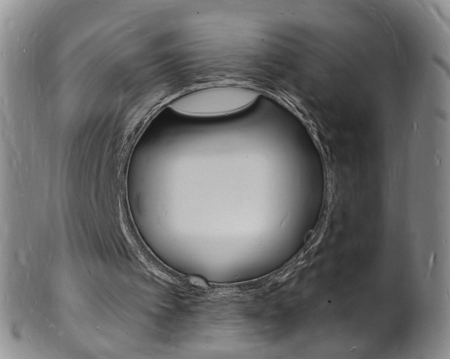 X0000101670097200807101059