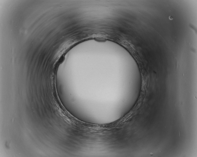 X0000101670098200807101059