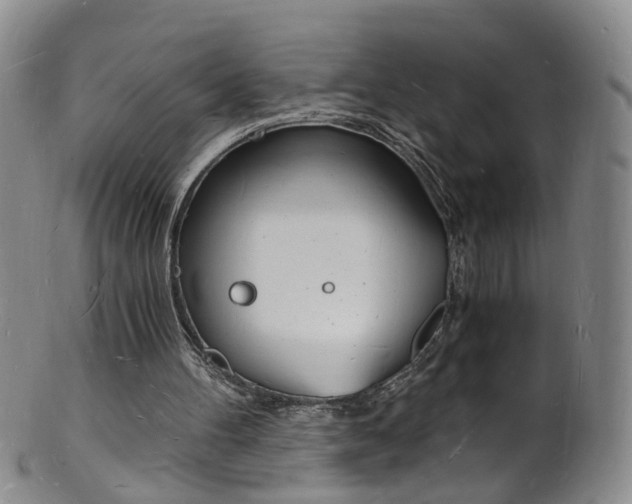 X0000101670100200807101059