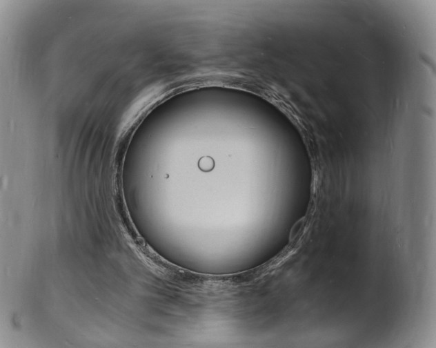 X0000101670101200807101059