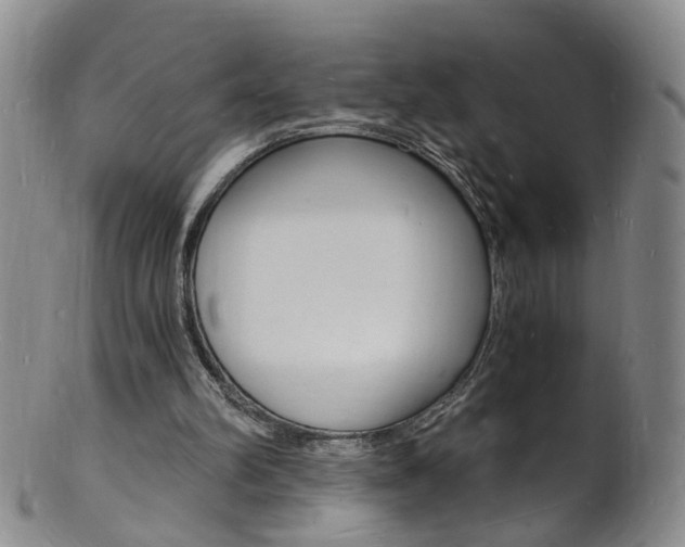 X0000101670102200807101059
