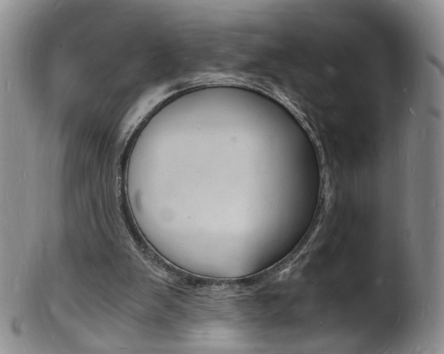 X0000101670103200807101059