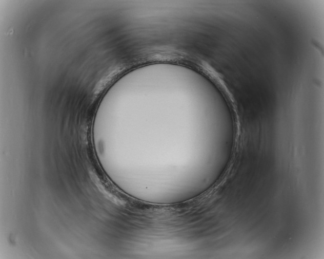 X0000101670106200807101059