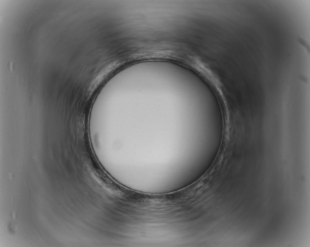 X0000101670107200807101059
