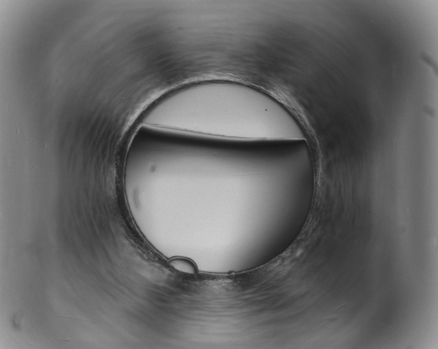 X0000101670108200807101059