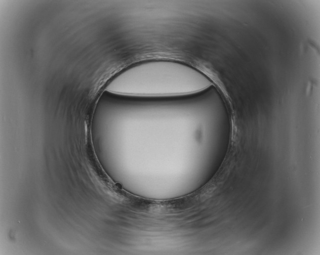 X0000101670109200807101059