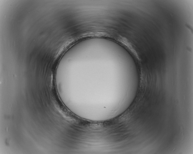 X0000101670110200807101059