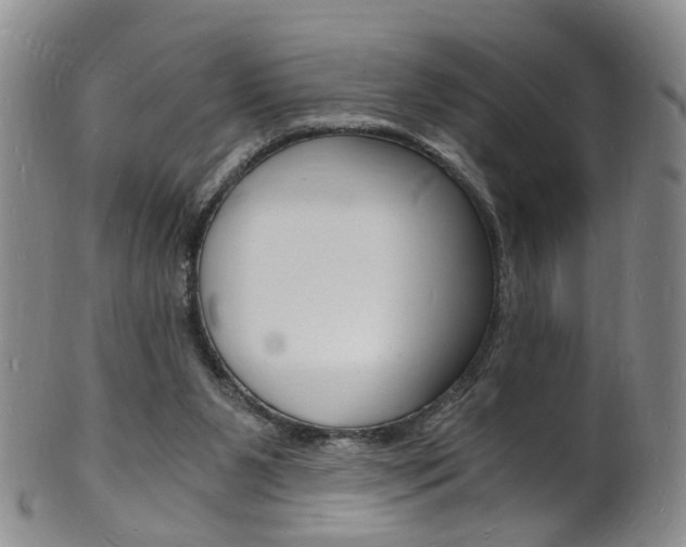X0000101670111200807101058