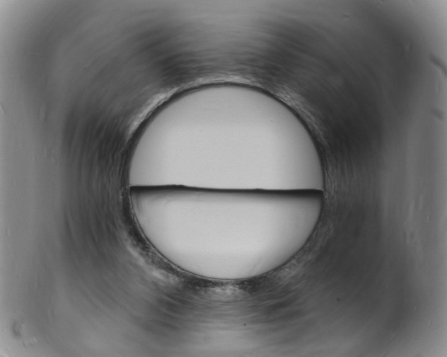 X0000101670112200807101058