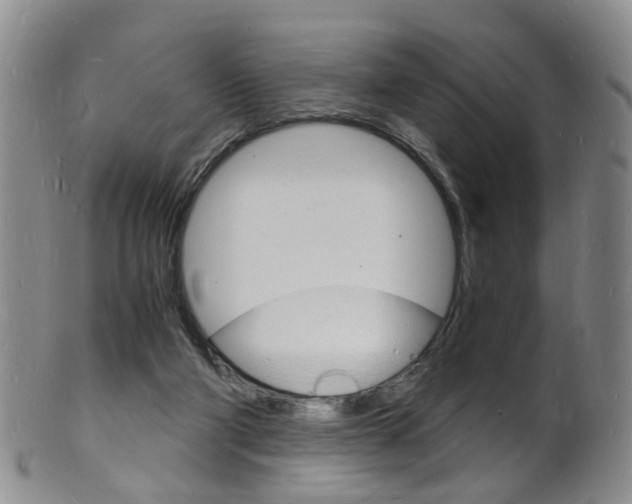 X0000101670114200807101058