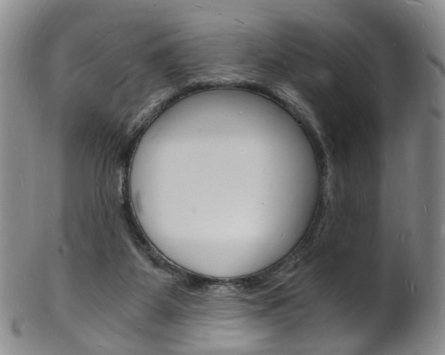 X0000101670115200807101058