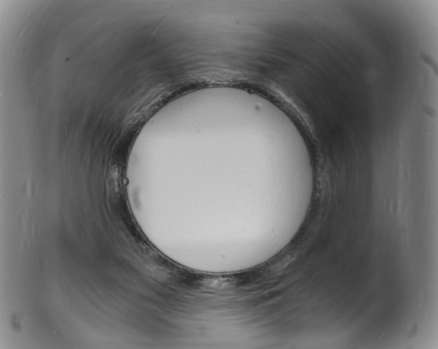 X0000101670117200807101058