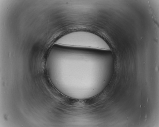 X0000101670119200807101058
