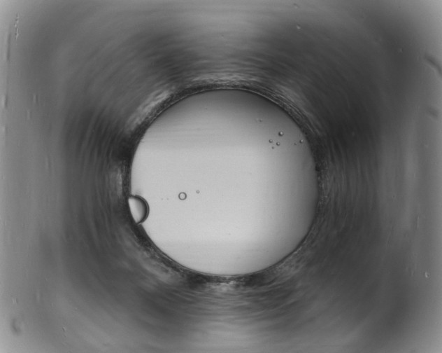 X0000101670120200807101058