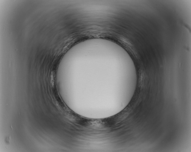 X0000101670121200807101058