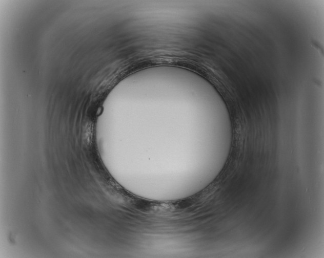 X0000101670125200807101058