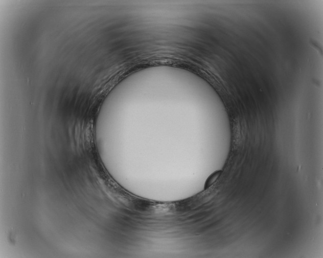 X0000101670126200807101058