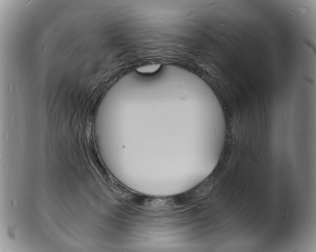 X0000101670129200807101058