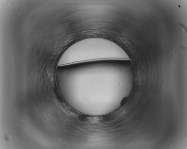 X0000101670131200807101058