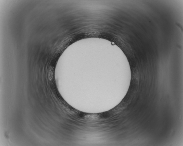 X0000101670133200807101058