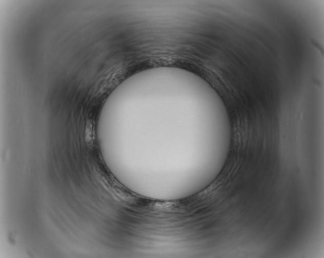 X0000101670134200807101058