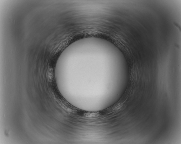 X0000101670135200807101058