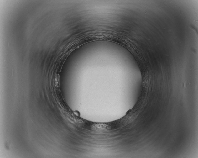 X0000101670137200807101058