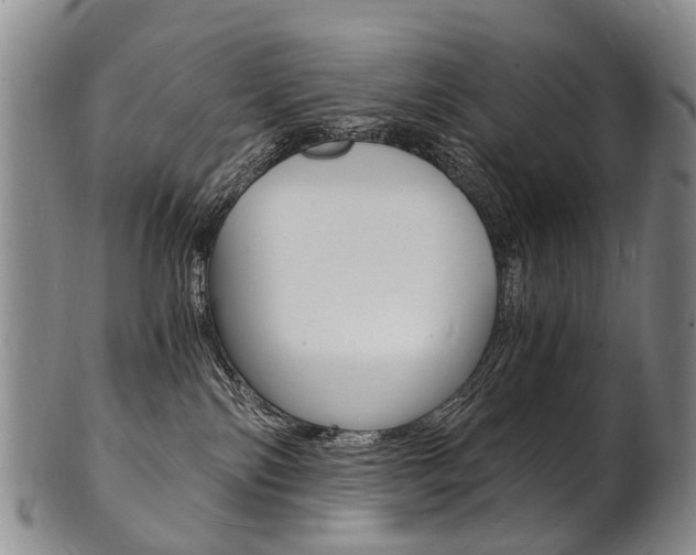 X0000101670138200807101058
