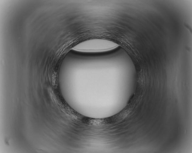 X0000101670139200807101058