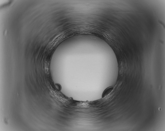 X0000101670140200807101058