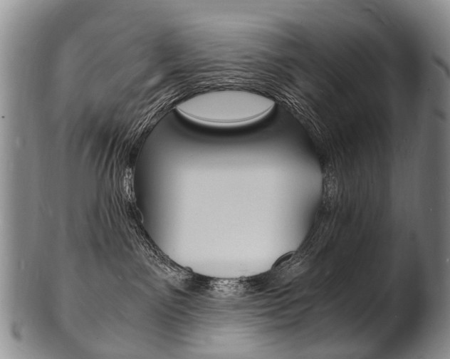 X0000101670141200807101058