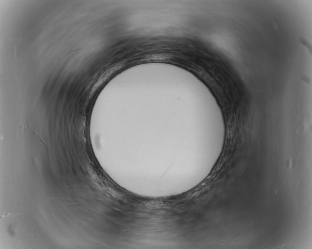X0000101670146200807101057