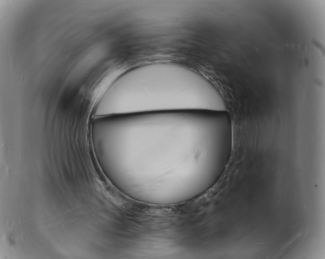 X0000101670147200807101057