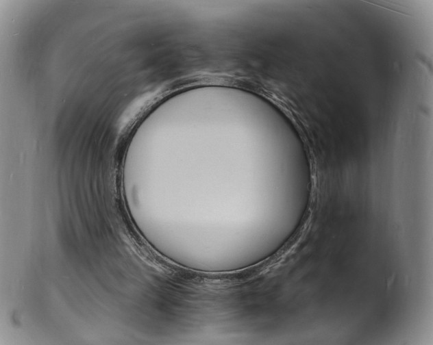 X0000101670149200807101057