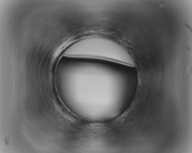 X0000101670150200807101057
