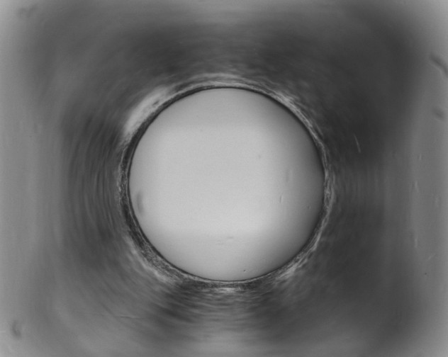 X0000101670151200807101057