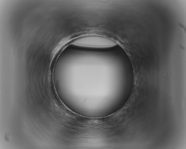 X0000101670152200807101057