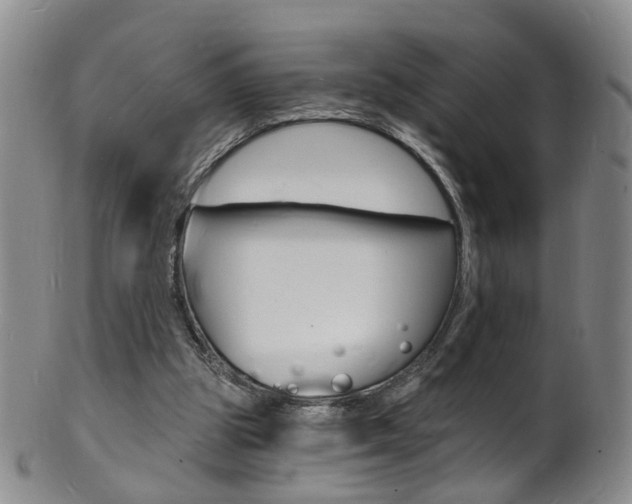 X0000101670153200807101057