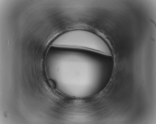 X0000101670154200807101057