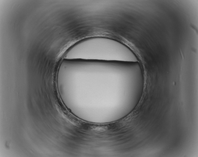 X0000101670155200807101057