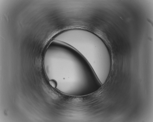 X0000101670156200807101058