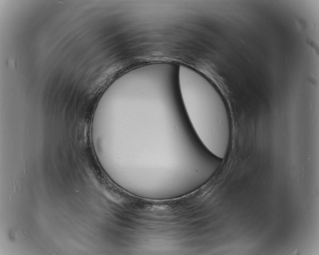 X0000101670157200807101058