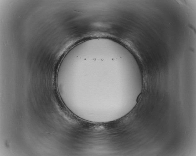 X0000101670159200807101058